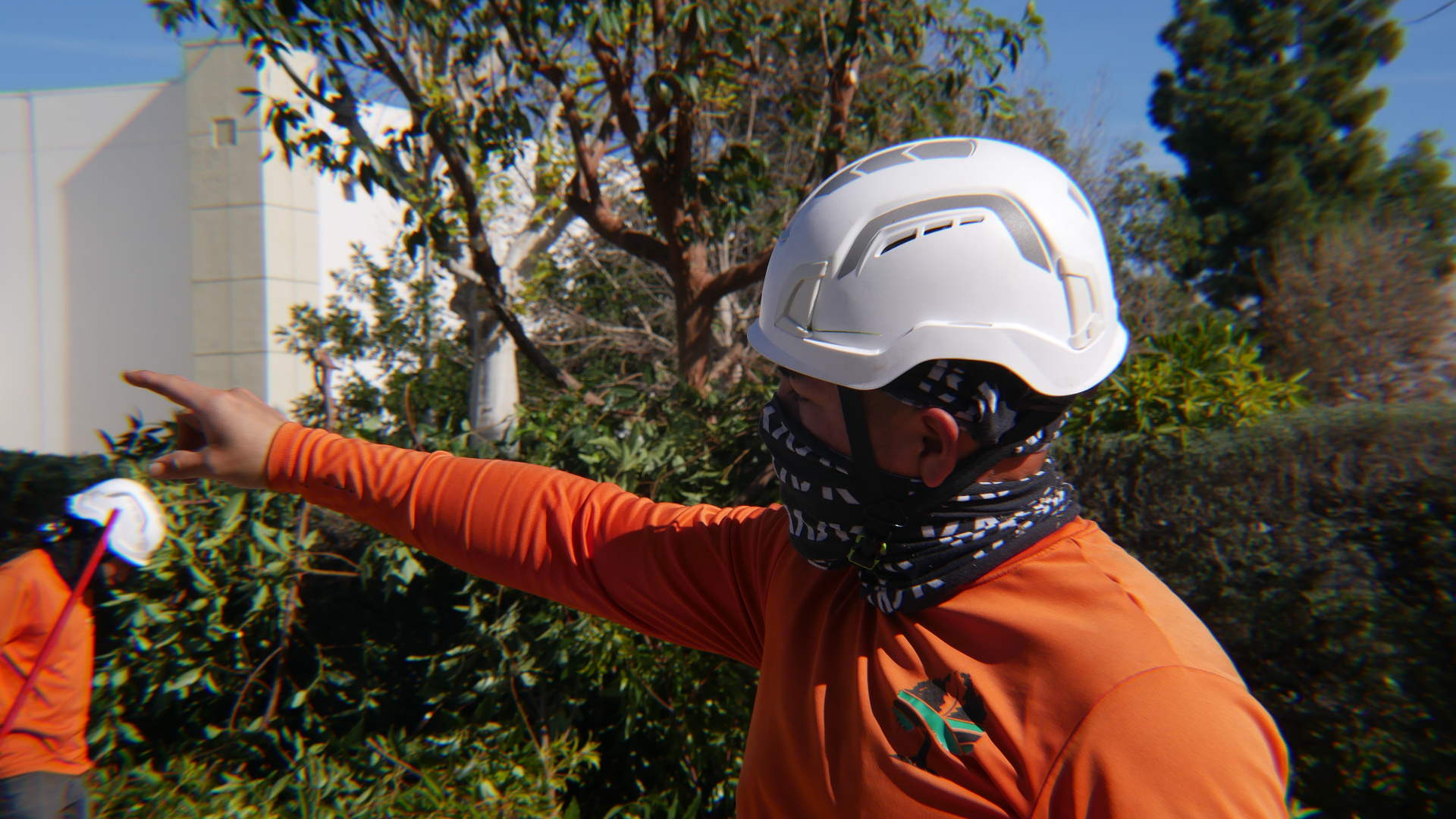 Arbol Roble crew on the job site